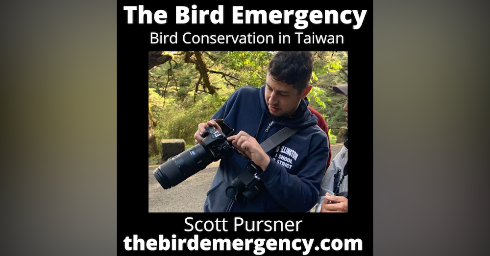 068 Migratory Birds and the Salt Pans project in Taiwan with Scott Pursner