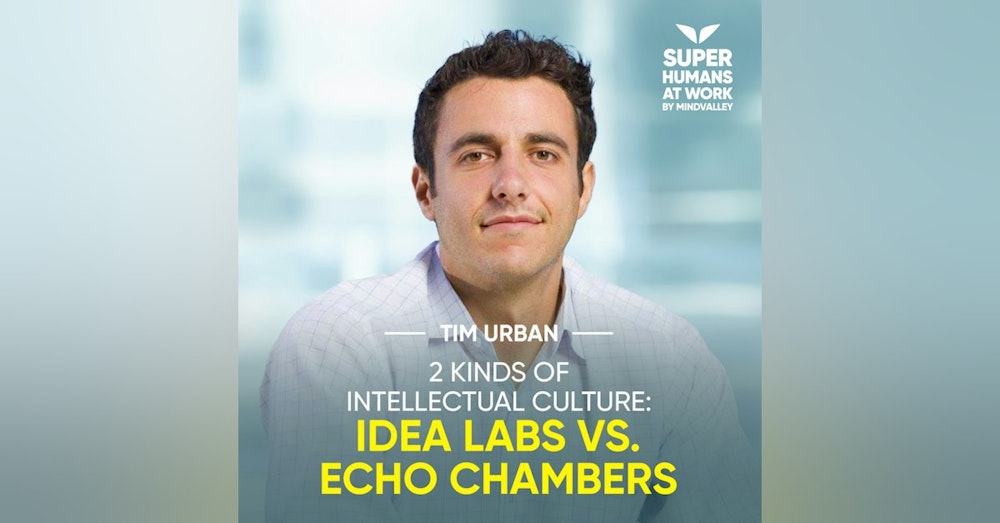 2 Kinds Of Intellectual Culture: Idea Labs vs. Echo Chambers - Tim Urban
