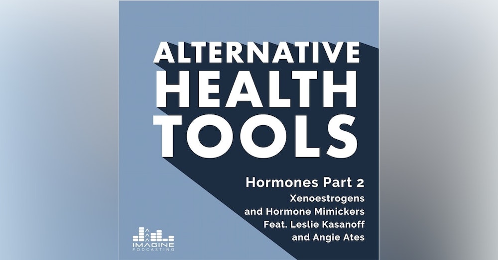 156 Hormones Part 2, Xenoestrogens and Hormone Mimickers feat. Leslie Kasanoff and Angie Ates