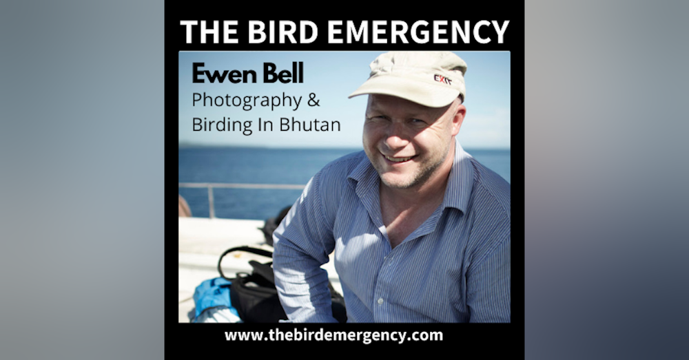 022 Birding and Photography in Bhutan (and other amazing locations) with Ewen Bell