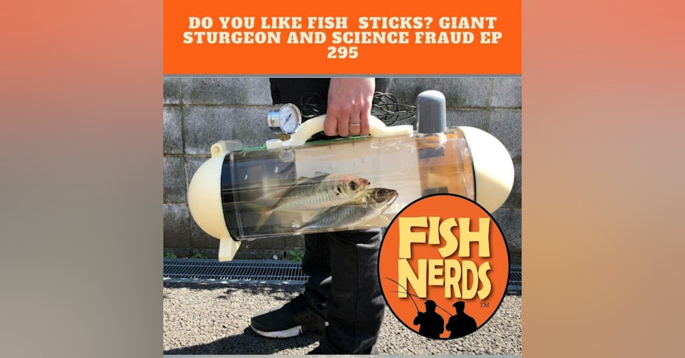 Do You like fish sticks? Giant Sturgeon and science fraud ep 285