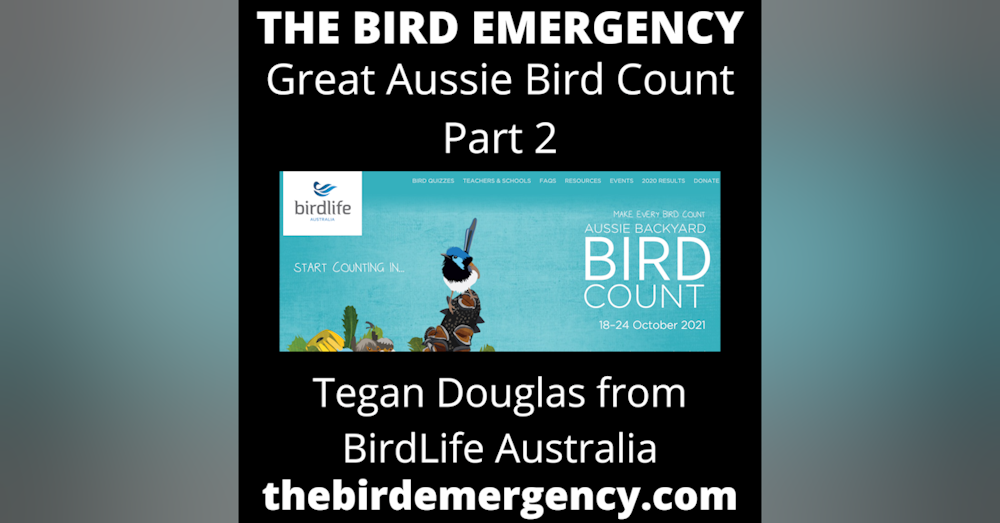 BE 055 Aussie Bird Count 2020 with Tegan Douglas Part 2