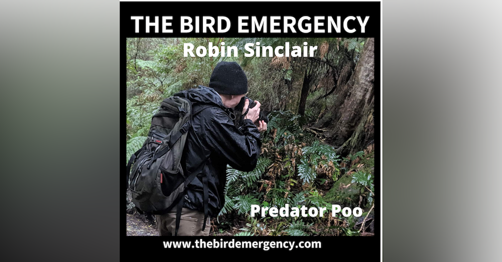 018 The Poo Episode - Robin Sinclair - monitoring predators in the Grampians when you can't do fieldwork!