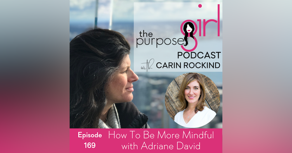 169 How To Be More Mindful with Adriane David