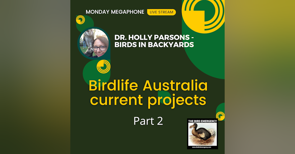 Monday Megaphone - Birdlife Australia current projects Part 2