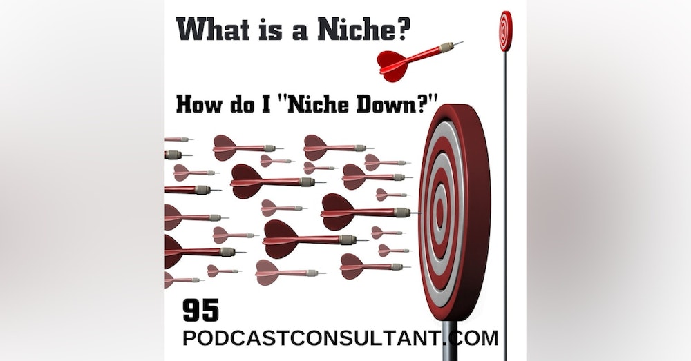 What is a Niche? How Do I Niche Down?