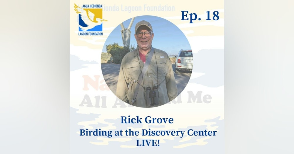 Ep. 18 Birding at the Discovery Center - LIVE