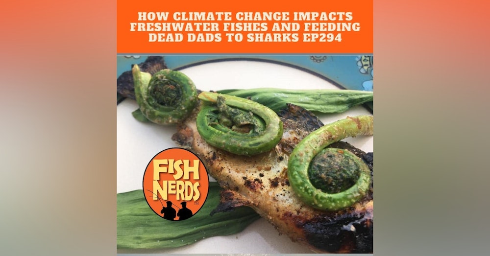 How Climate Change Impacts Freshwater Fishes and Feeding Dead Dads to Sharks ep 284