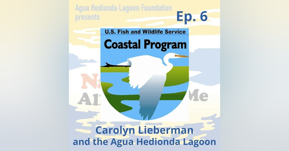 Ep. 6 Carolyn Lieberman: US Fish & Wildlife and the Agua Hedionda Lagoon