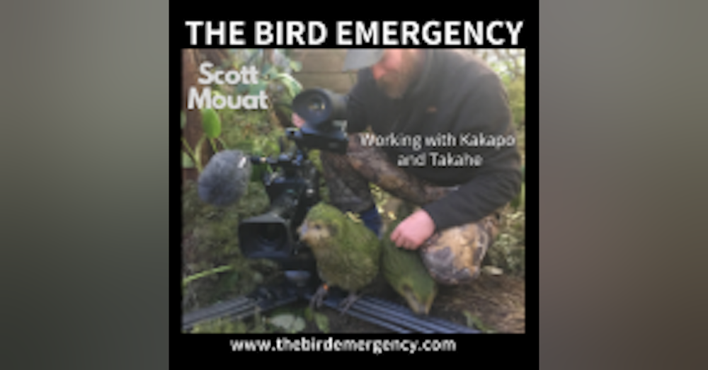 027 Scott Mouat - The Unnatuaral History of the Kakapo (and Takahe)