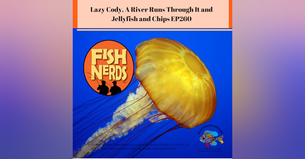Lazy Cody, A RIver Runs Through It and Jellyfish and Chips EP260