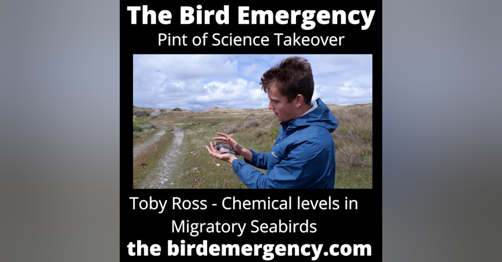 029 Pint Of Science Takeover  Week - Toby Ross and the East Asian Australasian Flyway