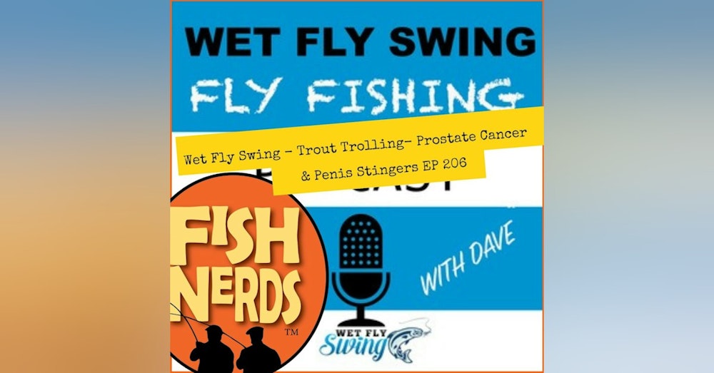 Wet Fly Swing Trout Trolling Prostate Cancer and Penis Stingers