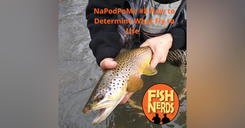 NaPodPoMo 8 How to Determine What Fly to Use