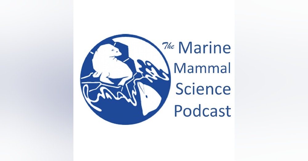 MMS 61: Cetacean tales- the marine mammal science career of Bernd Wursig, part 1