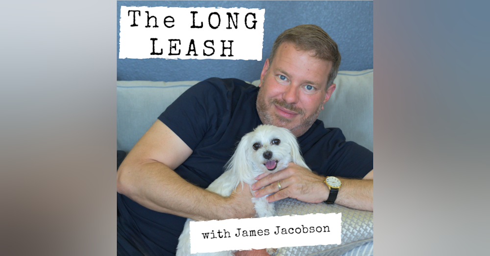 Dogs sell tacos and trucks. Can they sell a President? | The Long Leash #1