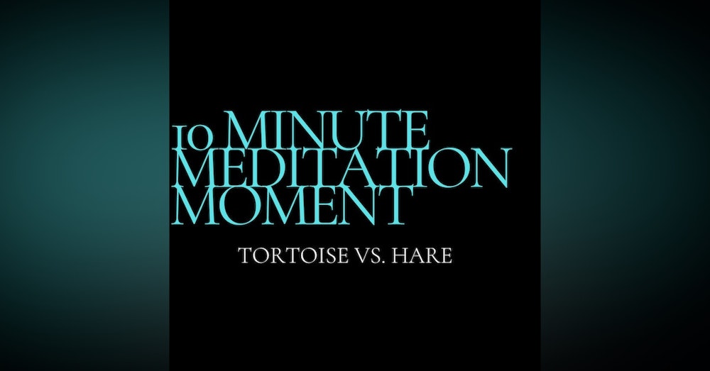 10 Minute Meditation Moment - Tortoise Vs. Hare