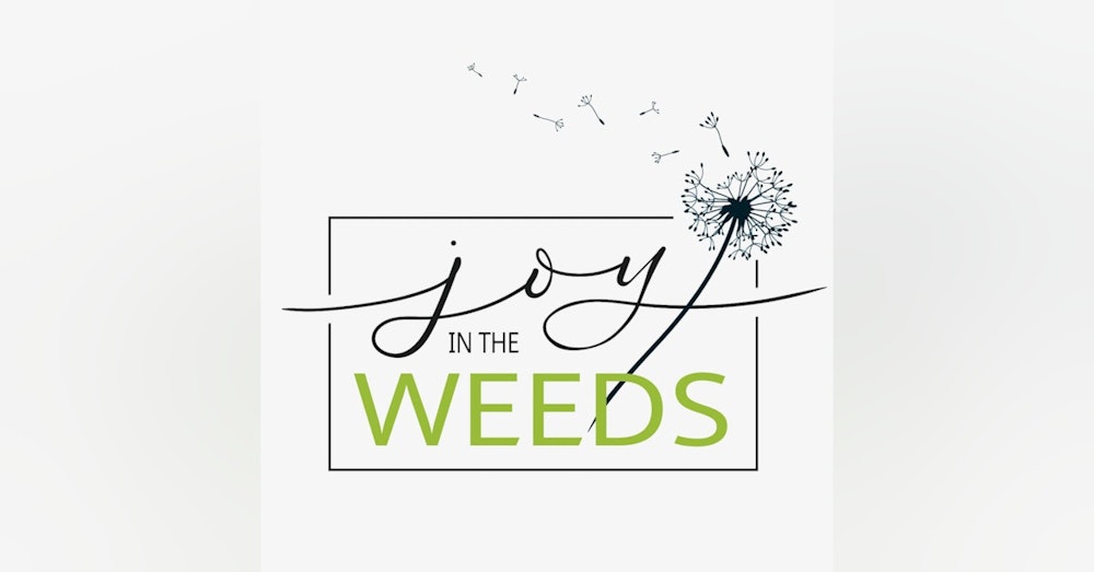 Why "Joy in the Weeds?"