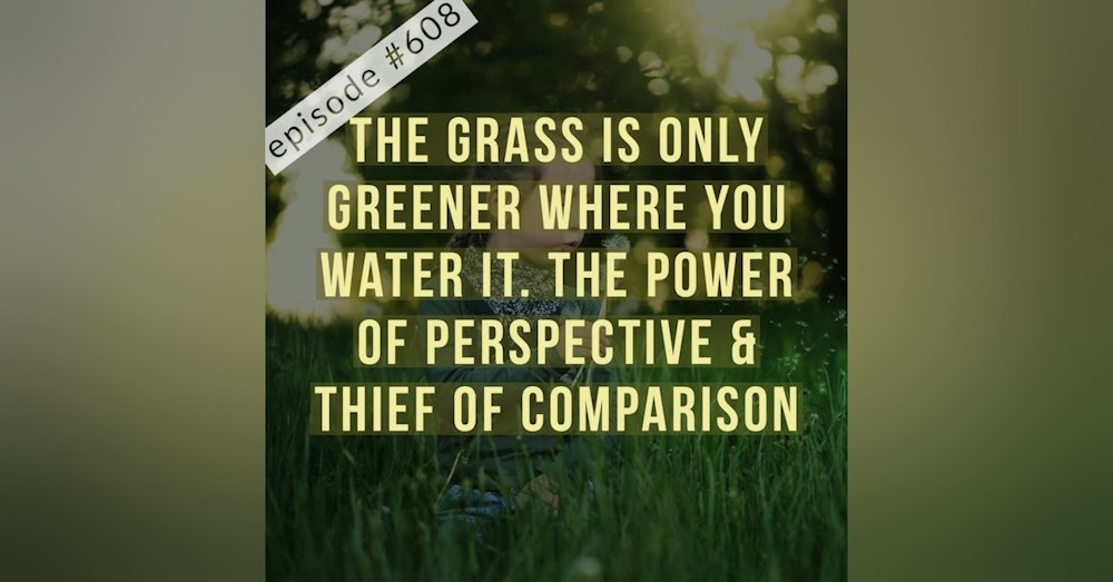 608.The grass is only greener where you water it. The power of perspective & thief of comparison.
