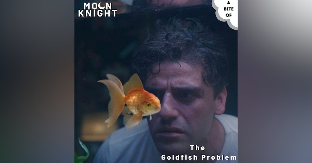 Moon Knight 1: The Goldfish Problem | Marvel