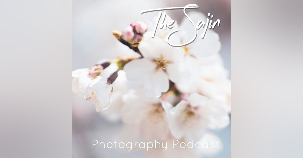 Season 2 - Episode 14: Cherry Blossoms in Korea