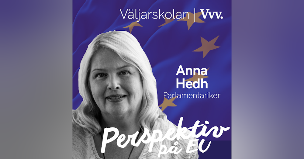 11. [Valspecial] Om hur EU-parlamentet funkar i praktiken - med parlamentariker Anna Hedh[