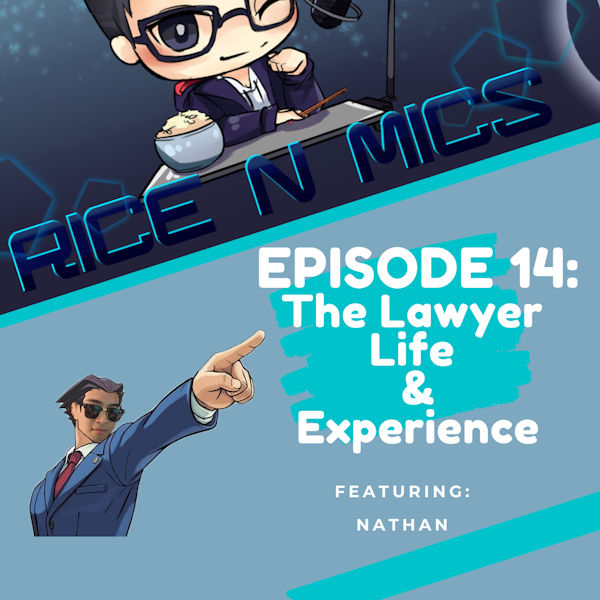 14 - The Lawyer Life and Experience Image