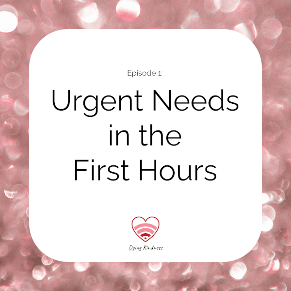 1: Urgent Needs in the First Hours