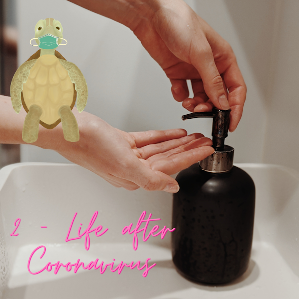 2 - Life after Coronavirus
