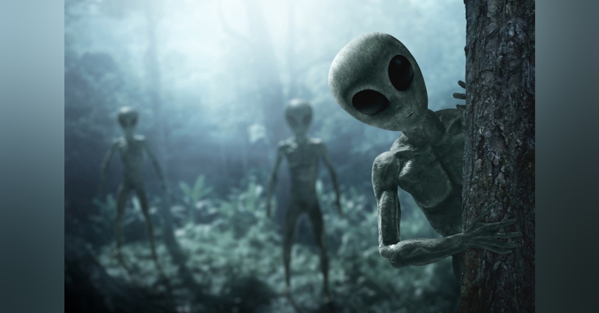 When The Aliens Come: What To Do When You've Been Abducted