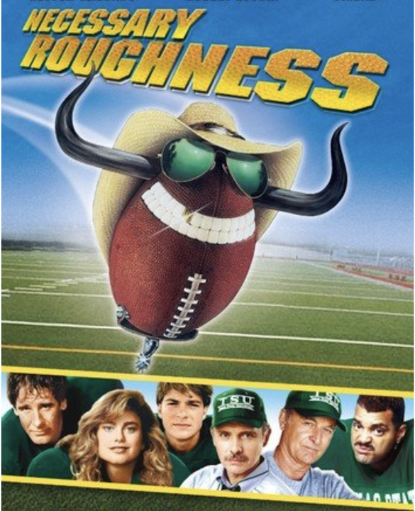 Necessary Roughness Image