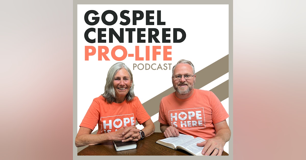 Why Pro-life Pregnancy Centers Need to Be Gospel-Centered - Interview with Tara Quinn, Director of HELP Pregnancy Center