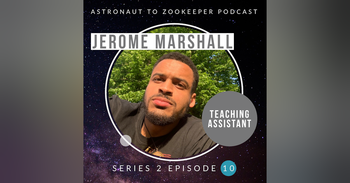 Teaching Assistant - Jerome Marshall