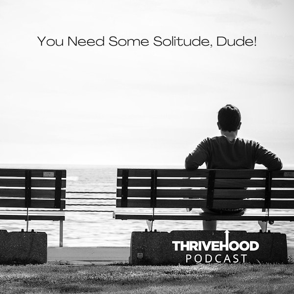 You Need Some Solitude, Dude! Image