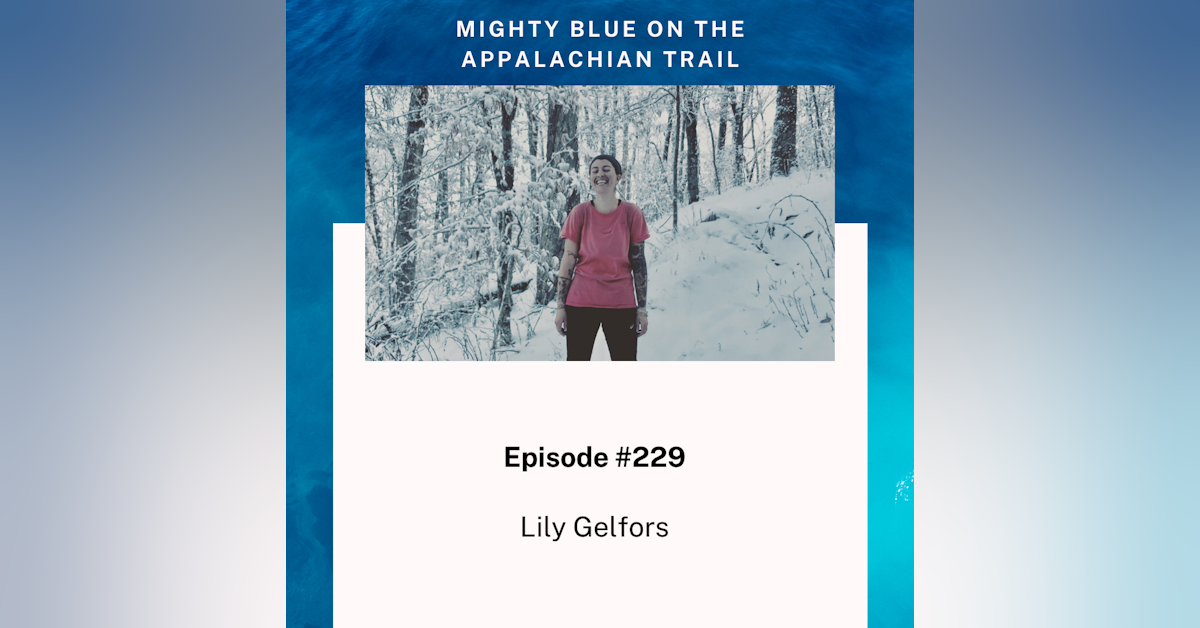Episode #229 - Lily Gelfars