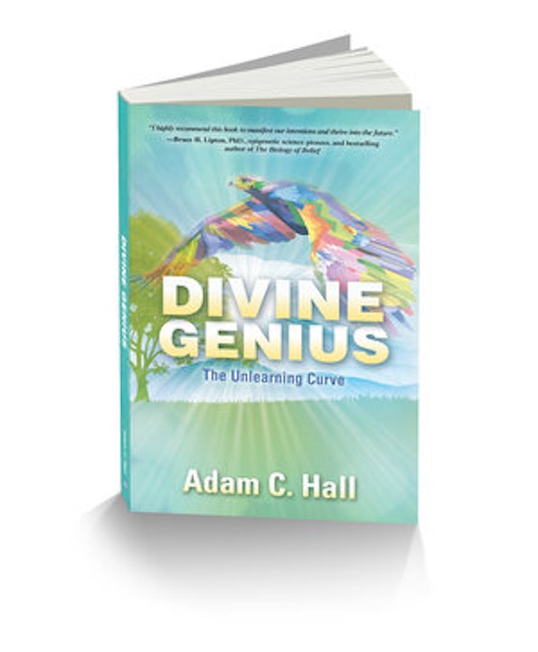 Adam Hall - 'Divine Genius: The Unlearning Curve'