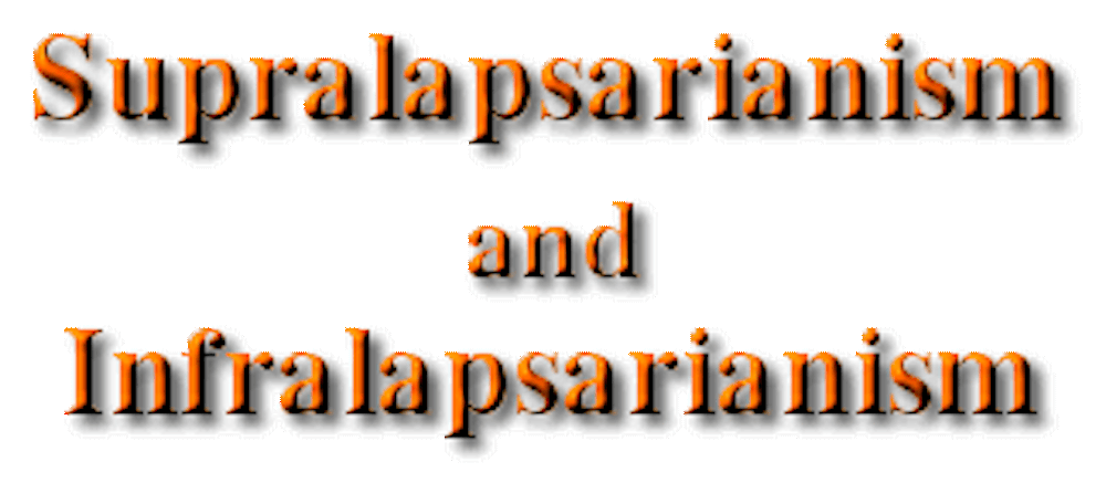 Supralapsarianism and Infralapsarianism