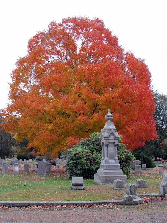 Episode 57 - Elm Grove Cemetery in Mystic, Connecticut Image