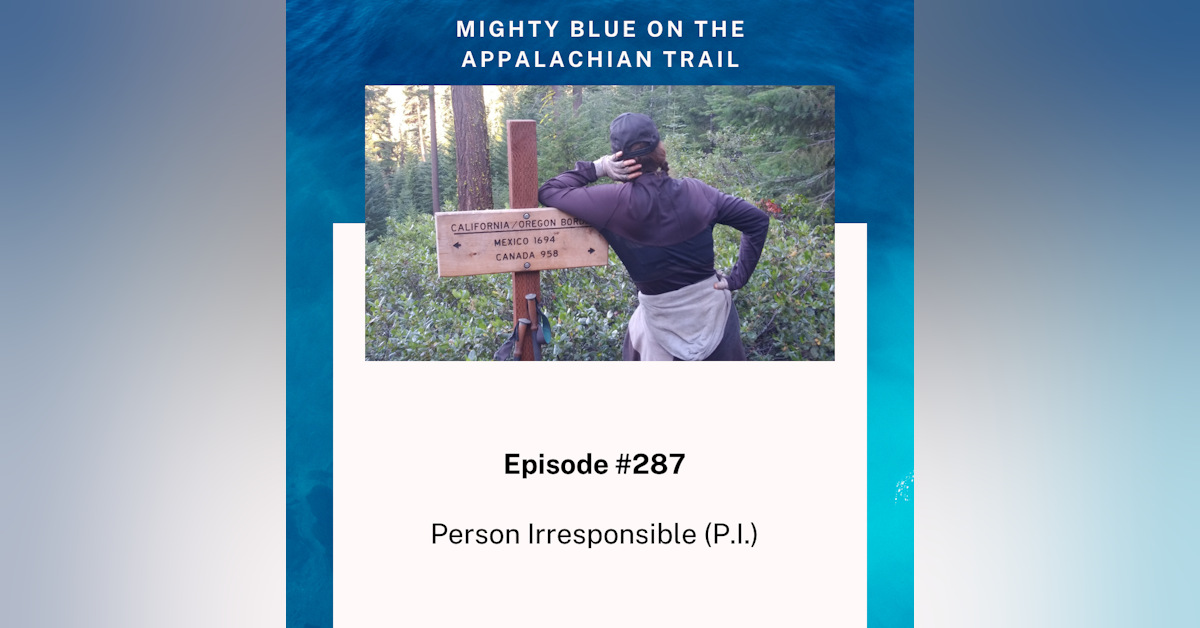 Episode #287 - Person Irresponsible (P.I.)