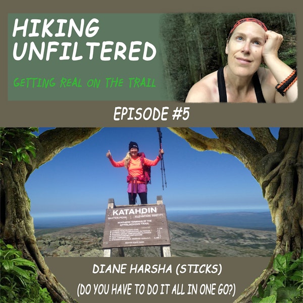 Episode #5 - Diane Harsha (Sticks)