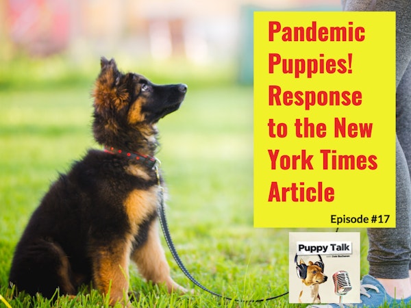 Pandemic Puppies - Response to the New York Times Article