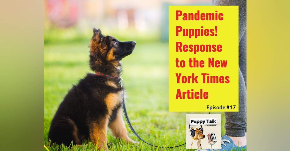 Pandemic Puppies - Response to the New York Times Article