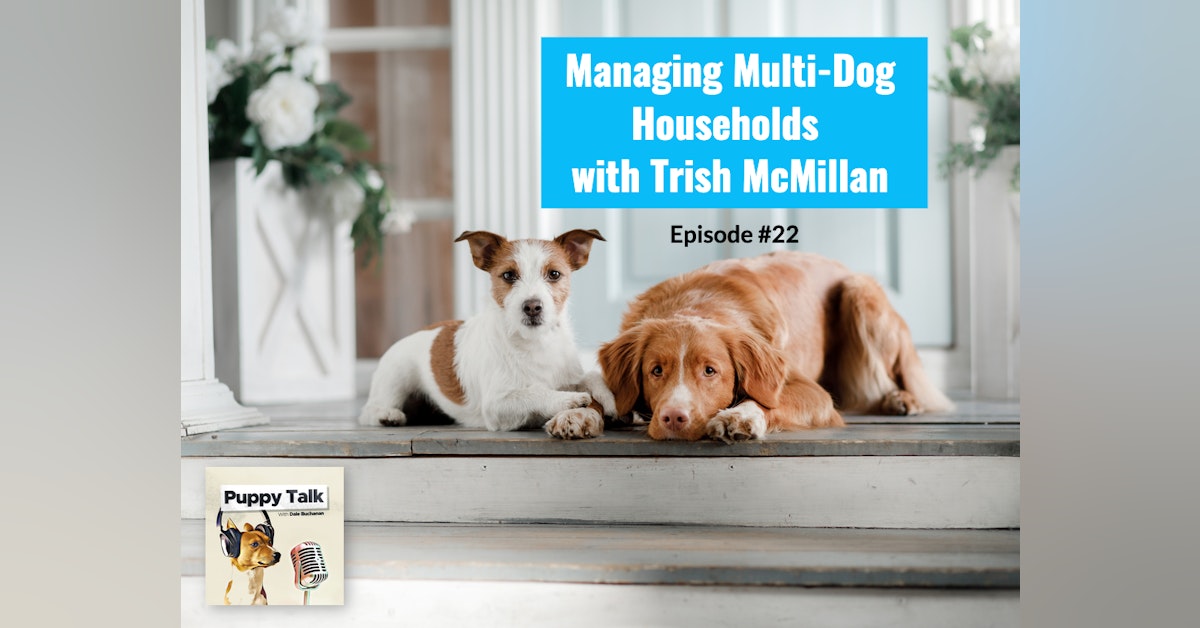 Managing Multi-Dog Households with Trish McMillan