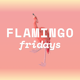 Flamingo Fridays Album Art