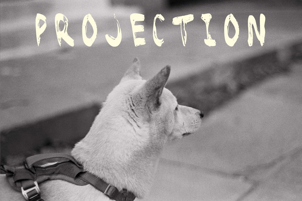 Episode 13: PROJECTION