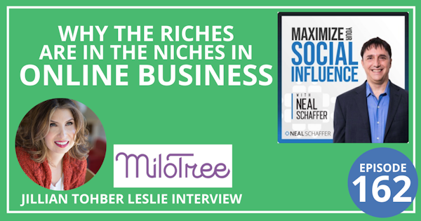 162: Why the Riches are in the Niches in Online Business [Jillian Tohber Leslie Interview] Image