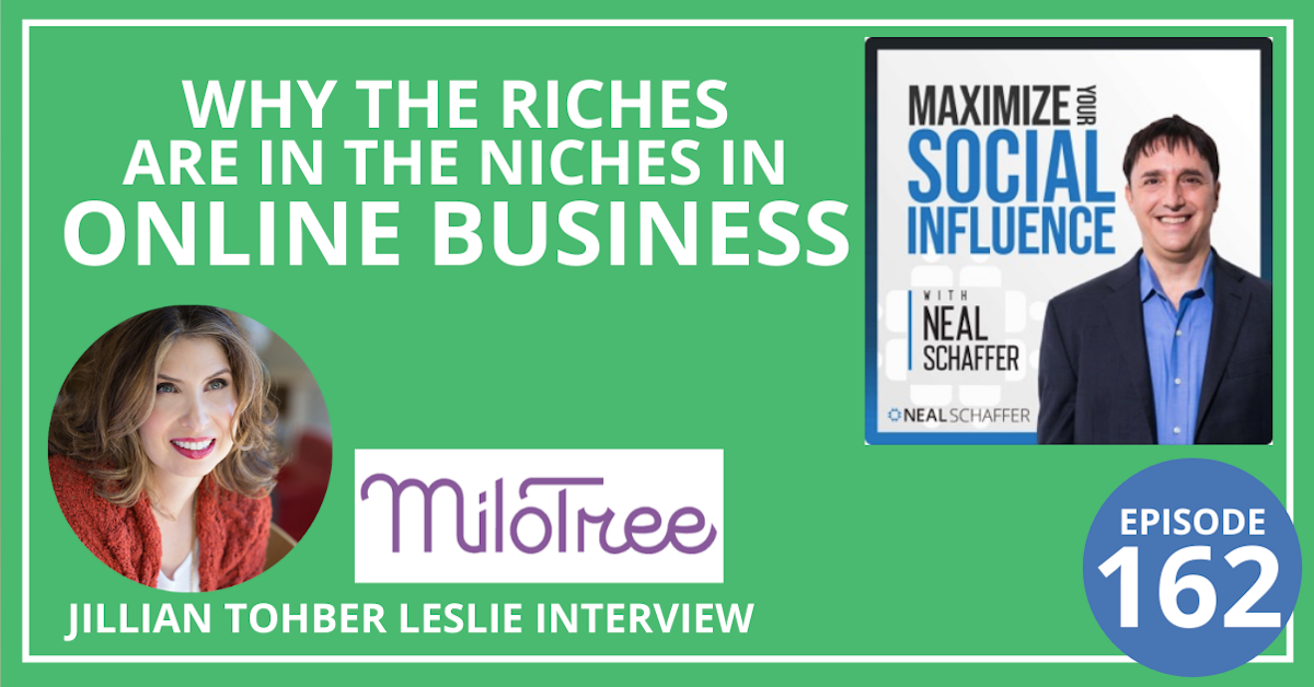 162: Why the Riches are in the Niches in Online Business [Jillian Tohber Leslie Interview]