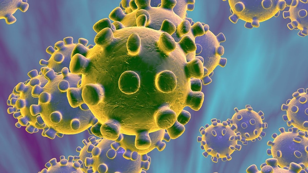 Coronavirus Global Pandemic and Church