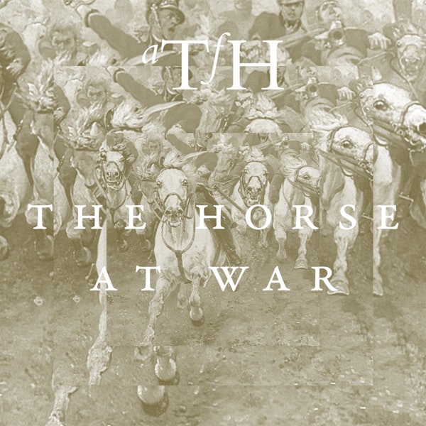 The Horse at War Image