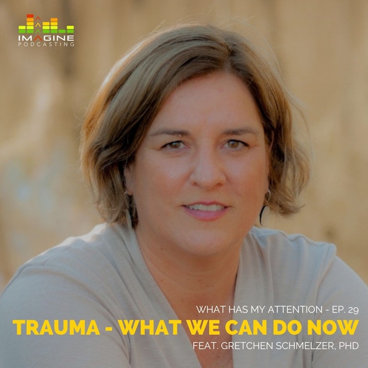 WISL 29 Women in Strong Leadership: Trauma - What We Can Do Now with Gretchen Schmelzer, PhD